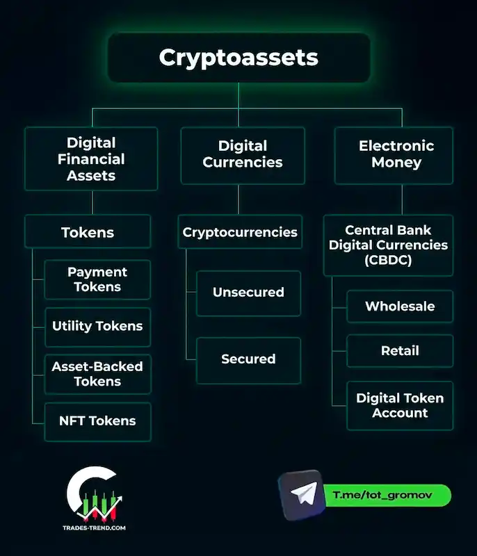 Infographic: main types of cryptocurrencies — Bitcoin, altcoins, stablecoins, DeFi, memecoins