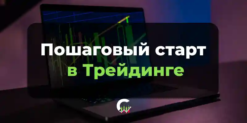 Трейдинг с нуля: выбираем рынок для старта