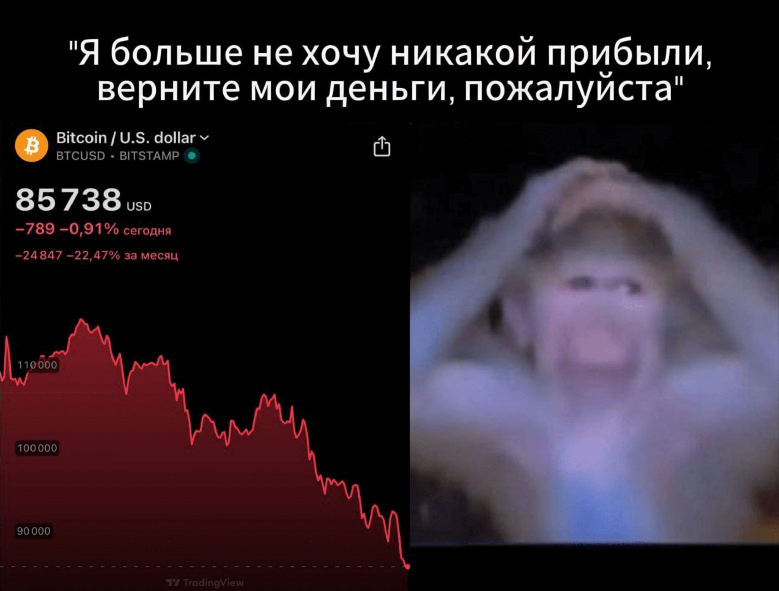 Реакция новичка на падение рынка криптовалют и потерю денег